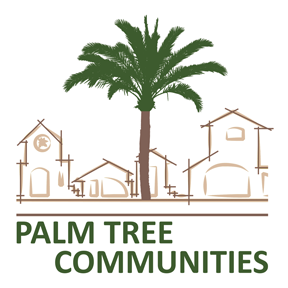 palm tree